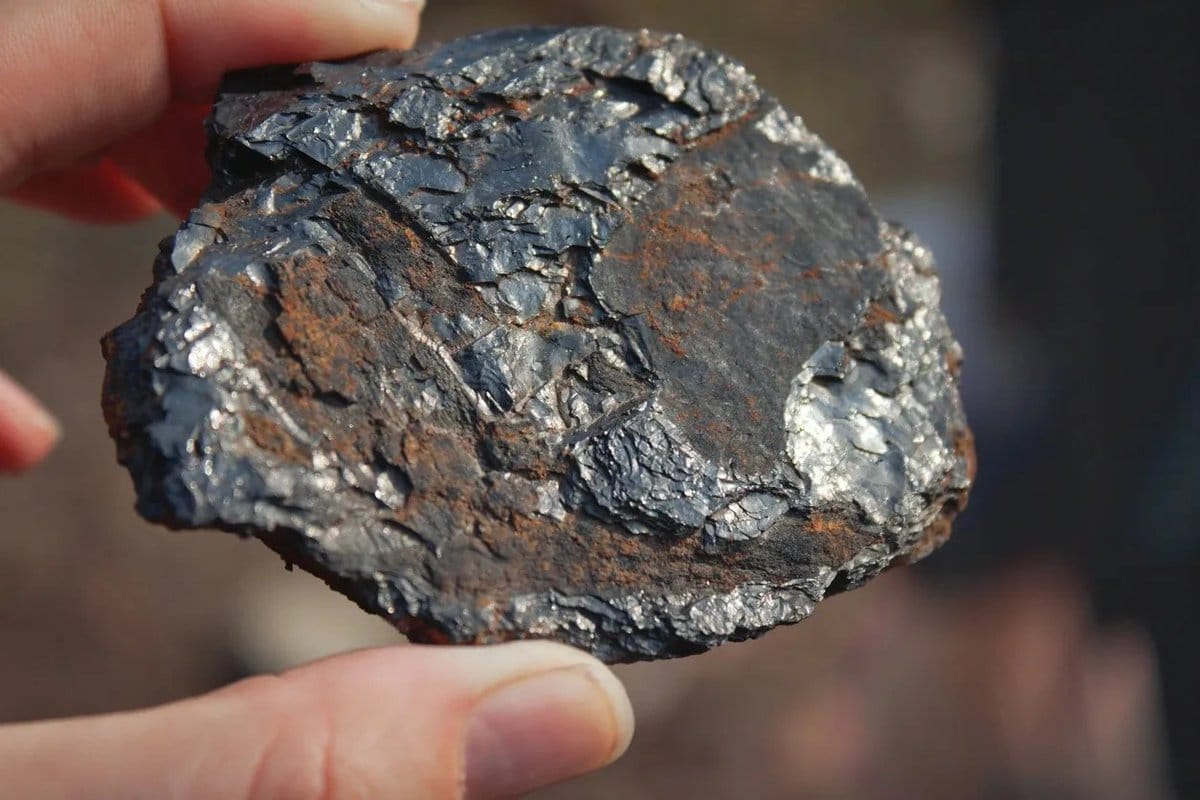 Unlocking the Secrets of Life: How Meteorites May Have Seeded Earth